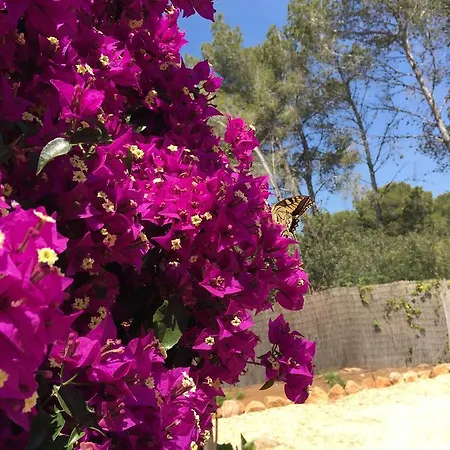 Can Bliss Bed & Breakfast Cala Llena